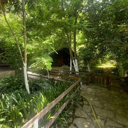 Villa Syri Kalter Sarande Luaran gambar